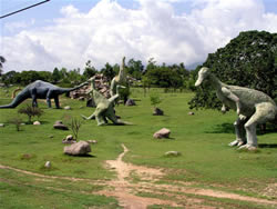 Todays Dinosaurs in the East of Cuba